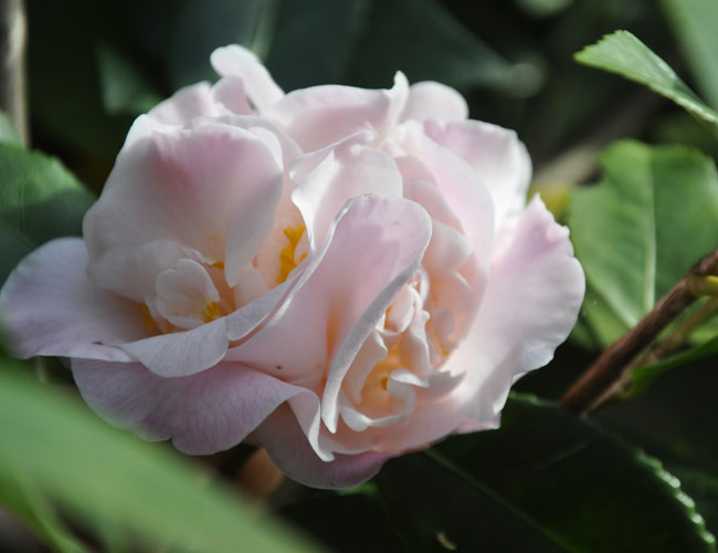 This Way To Freeway Park Growing Steady