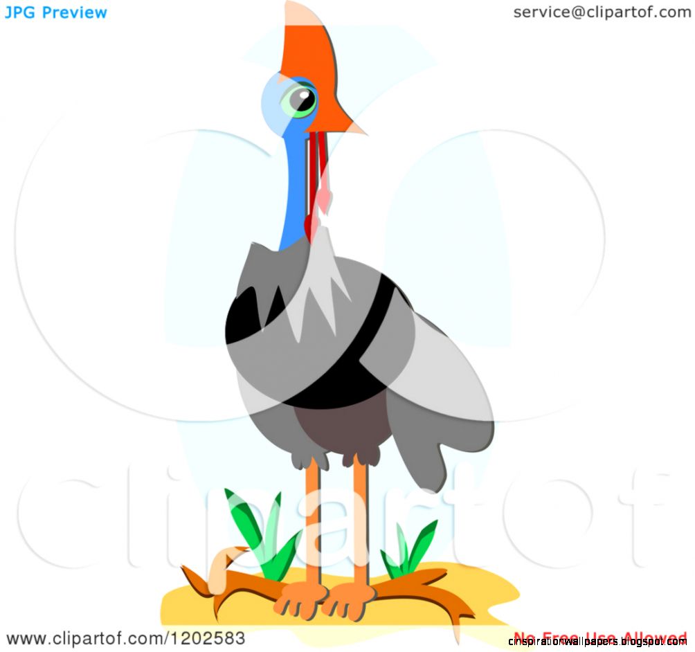 Cute Cartoon Cassowary Cute Cartoon Cassowary