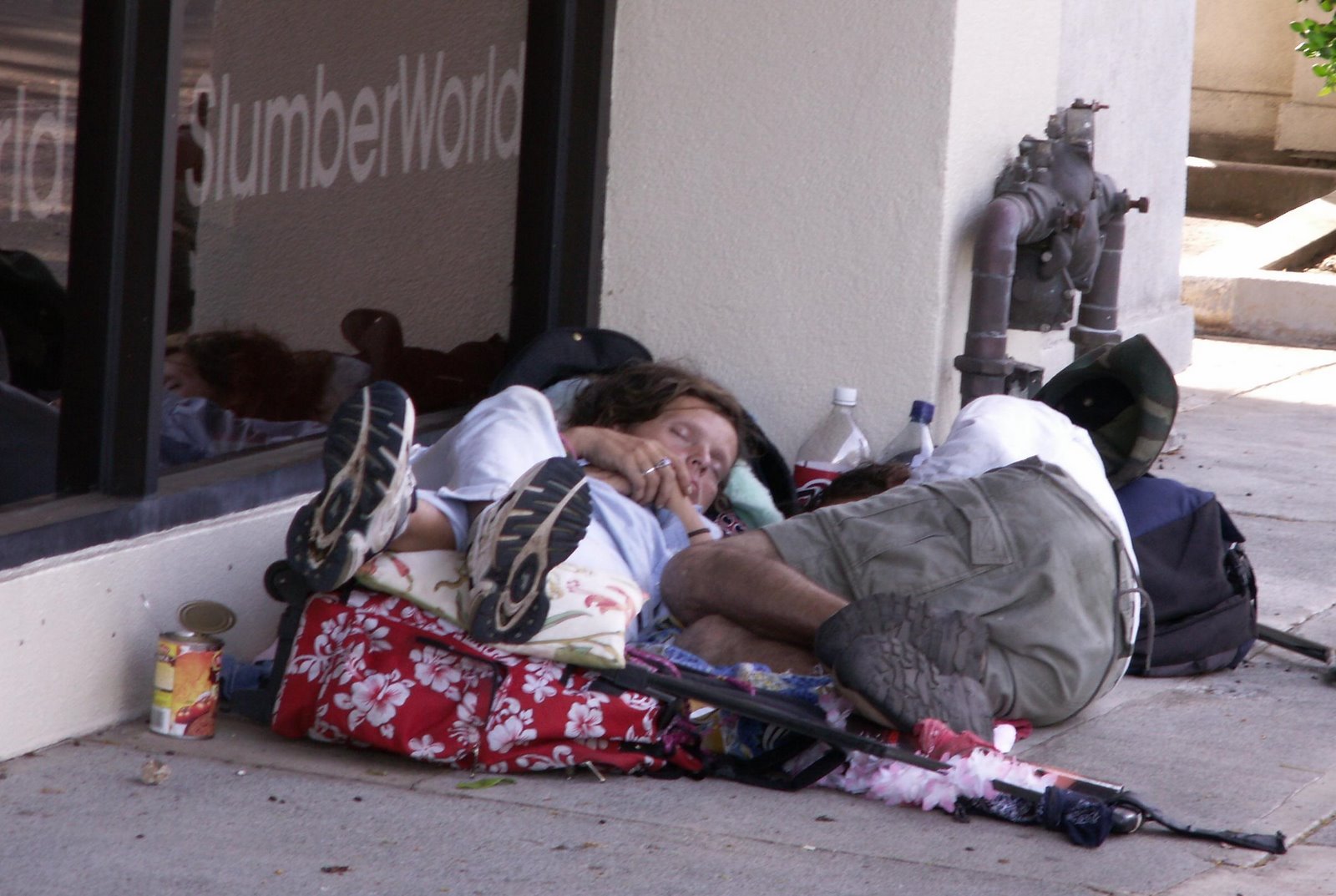 gay homeless ontario is dane cook gay or straight