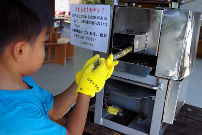 沖縄家族旅行　おすすめ体験/観光　サトウキビ刈り　黒糖