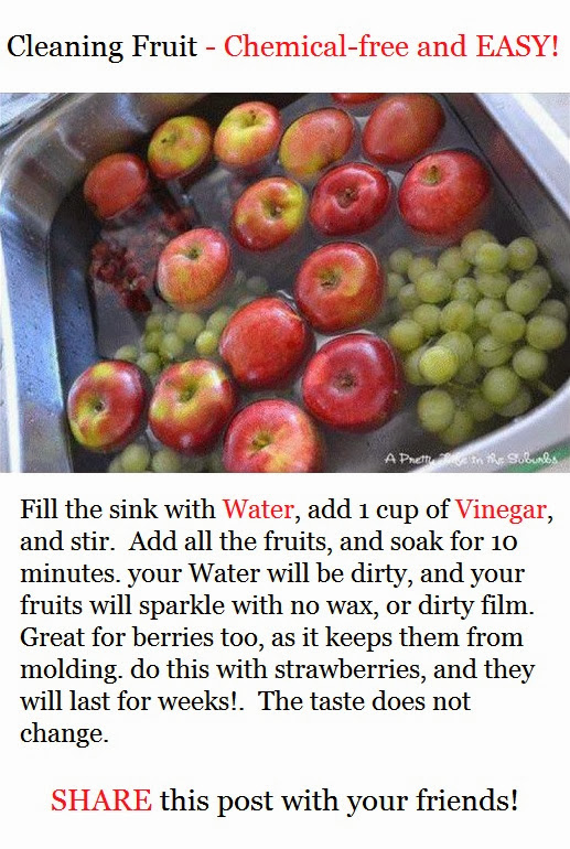 Cleaning Fruits Chemicalfree and EASY Alternative Green World