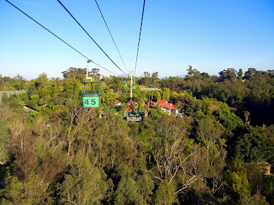 Riding high above the zoo on the aerial tram!