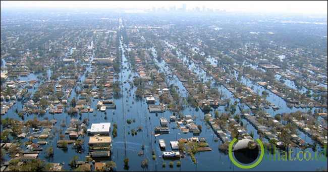 New Orleans New Orleans