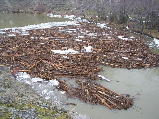 Logjam in a sentence image