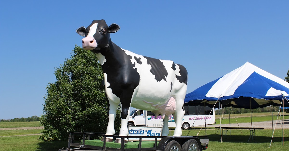 Reid Dairy Farm Tour Recap & A Giveaway!