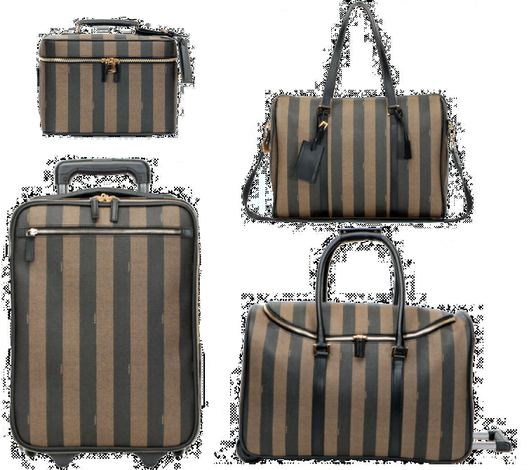fendi luggage