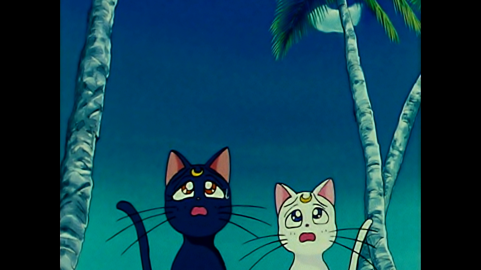 PSY - DADDYfeat CL of 2NE1 M/V - YouTube