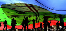 Chile: los mapuches quieren gobierno propio (por Patricio Fernández)