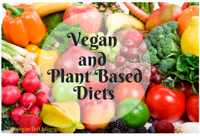 The Difference Between Being Vegan and Plant Based Diets The Vegan Taff