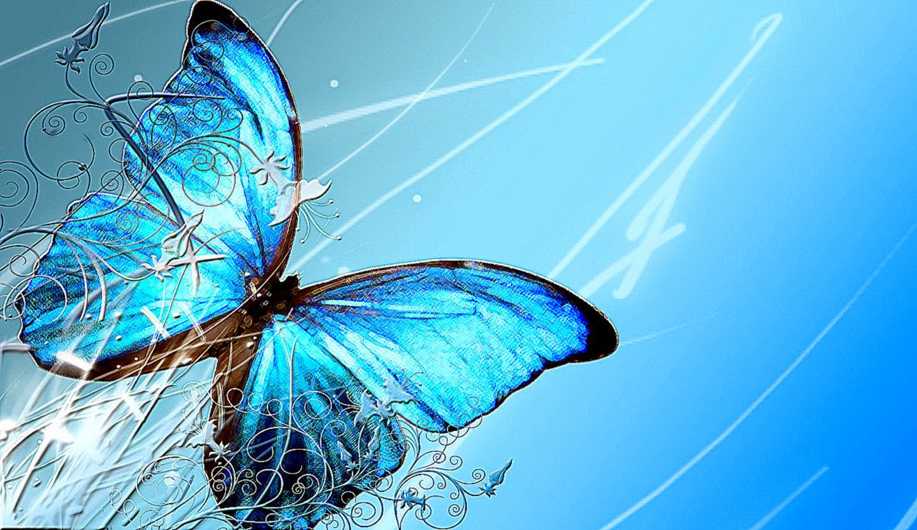 Blue Beautiful Butterfly Hd Wallpaper Best Photo and Wallpapers Blue Beautiful Butterfly Hd Wallpaper Best Photo and Wallpapers