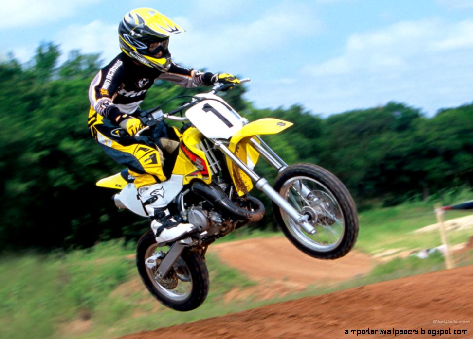 2005 Suzuki RM 65 2005 Suzuki RM 65