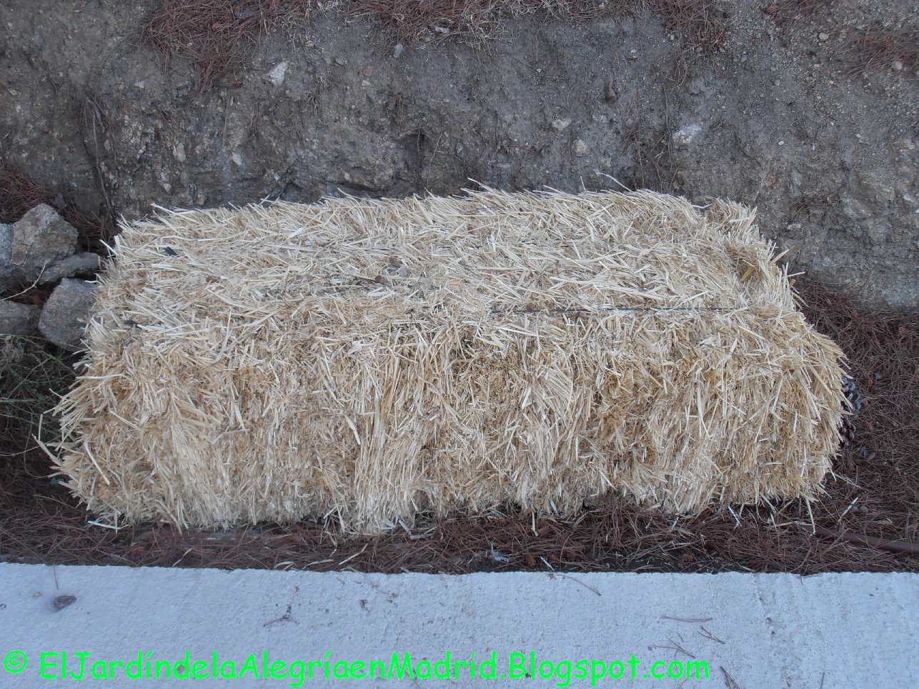 El jardín de la alegría : Mulching (Acolchado) de paja en los bancales
