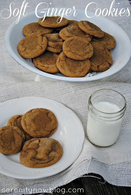 Soft Ginger Cookie Recipe (easy and inexpensive) from Serenity Now
