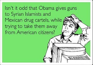 111=isnt-it-odd-that-obama-gives-guns-to-syrian-islamists-and-mexican-drug-cartels-while-trying-to-take-them-away-from-american-citizens.jpg