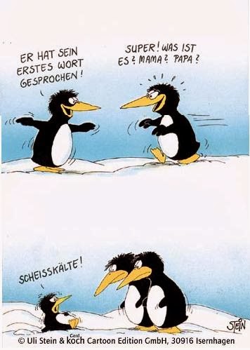 Wie ich auf 10 kg für den Monat vom Foto abgemagert bin