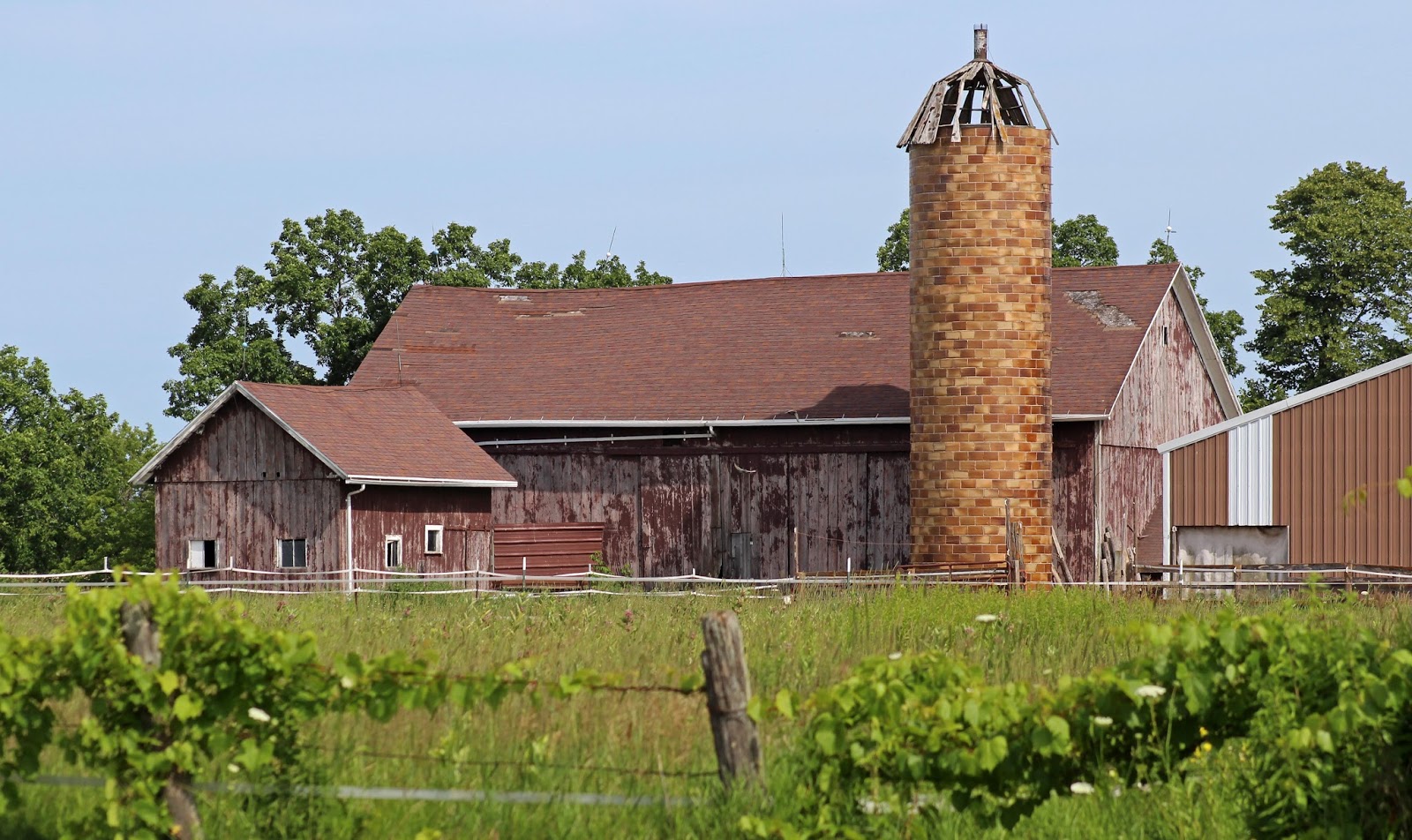sconzani Old barns of Wisconsin