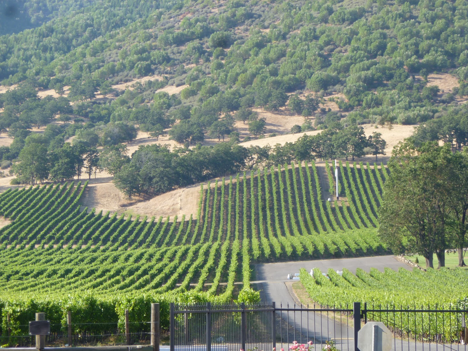 On the Road to Abigail's Fun Facts Gold Hill, Oregon