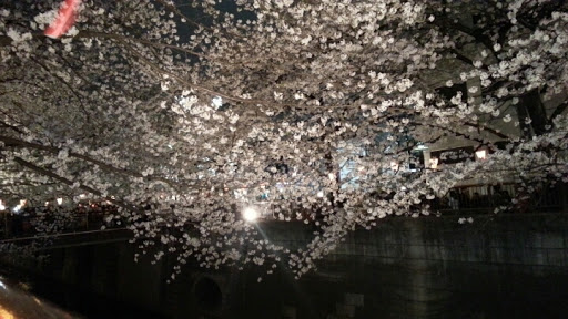 20130326-o0720040512472422001.jpg