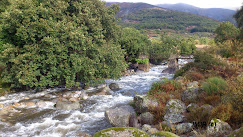 PUENTE DE PALO