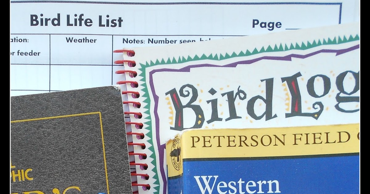 Handbook of Nature Study Outdoor Hour Challenge Starting a Bird Life