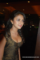 Amala, Paul, Hot, Bulging, Boobs, in, event, and, the, Movie, of, Vettai, Run, Baby, Run