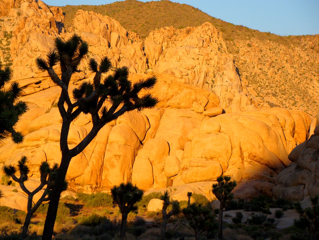 Geotripper Come and See Joshua Tree National Park with the Far Western
