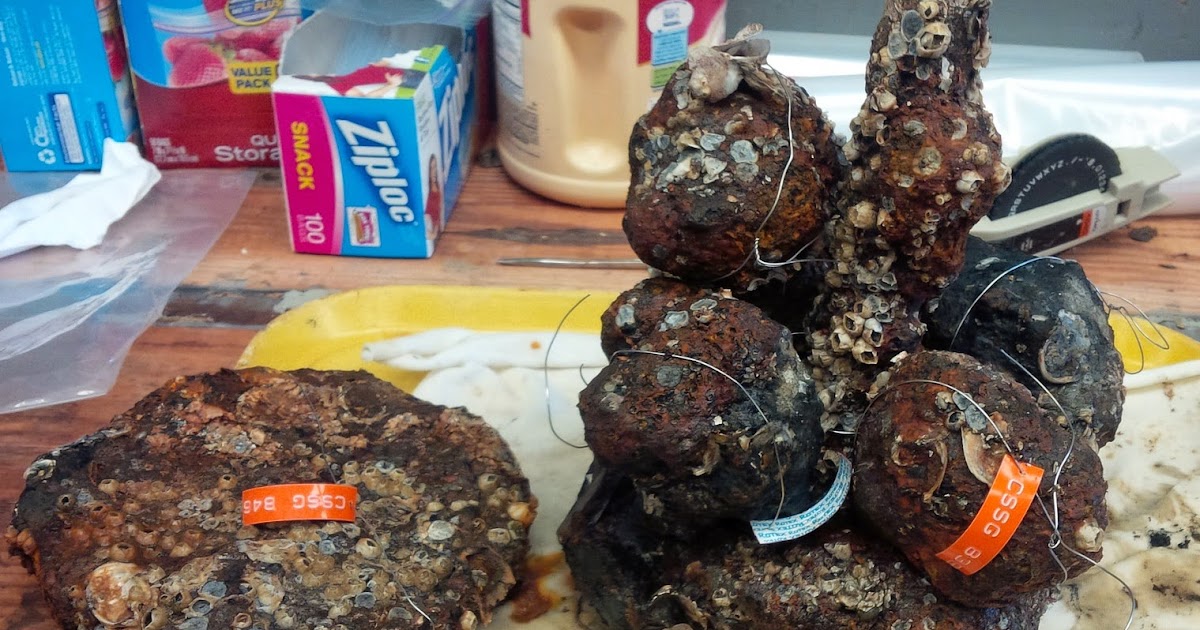 The Civil War Picket New CSS artifacts hilt