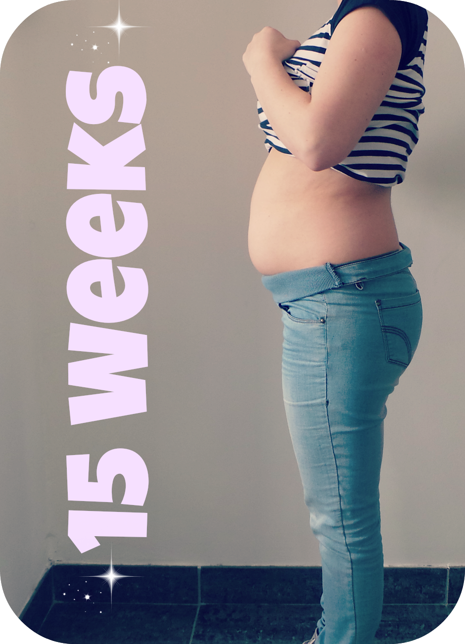 15 Week Pregnancy Update! how about now!?