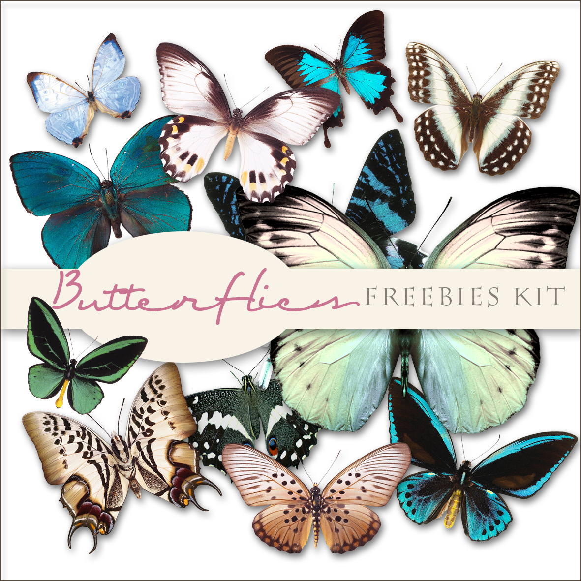 Scrap. DOT Freebies Butterflies Kit I part