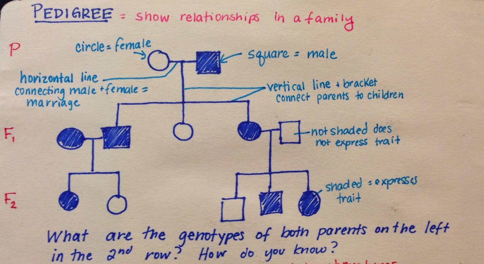 Solving Genetic Problems