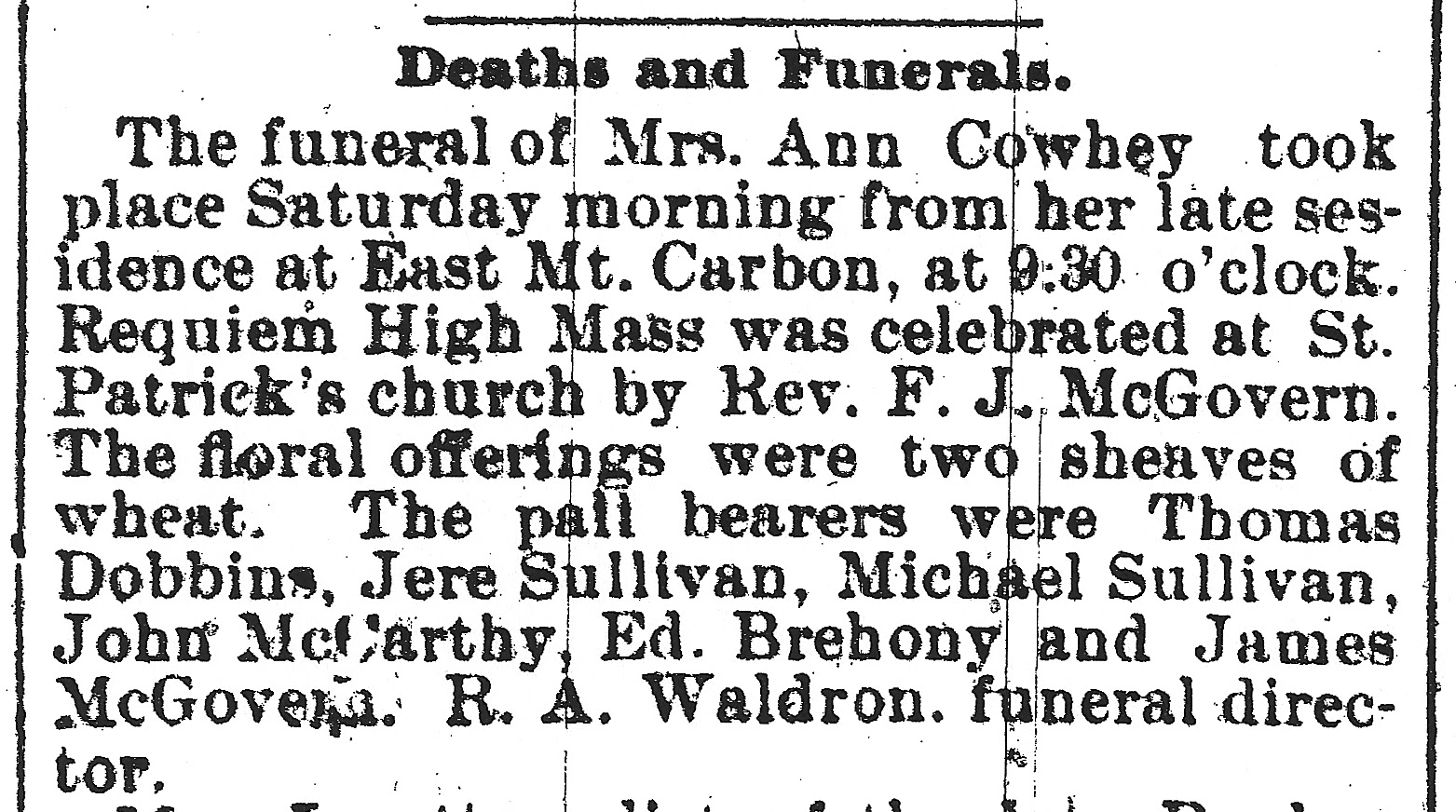 Smallleaved Shamrock Onehundred and twenty years ago today The