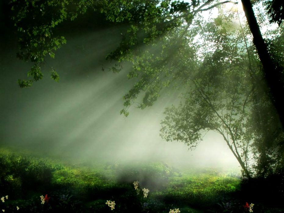beautiful nature 15 beautiful nature 15