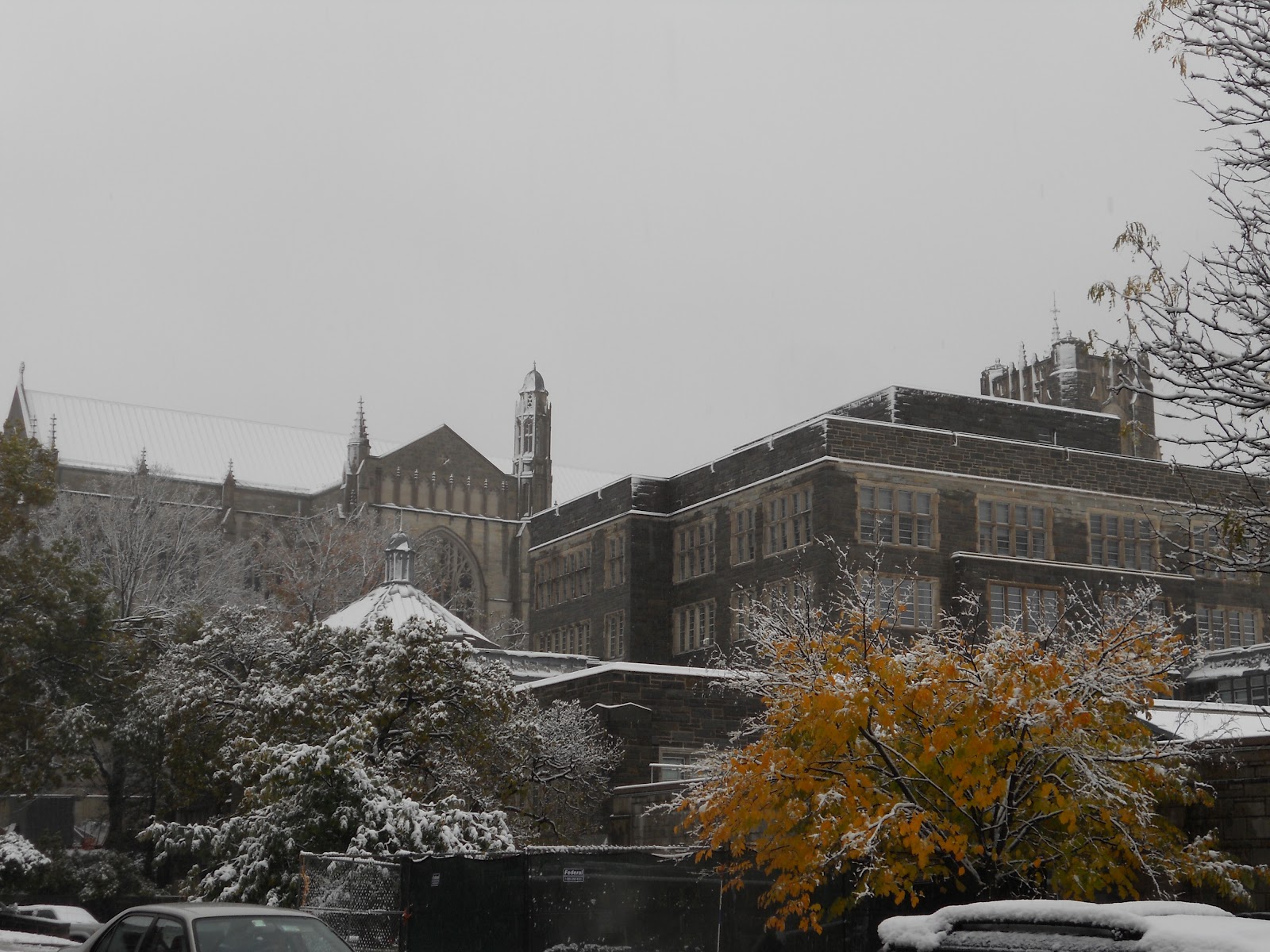 Nature Photography First Snow at Princeton