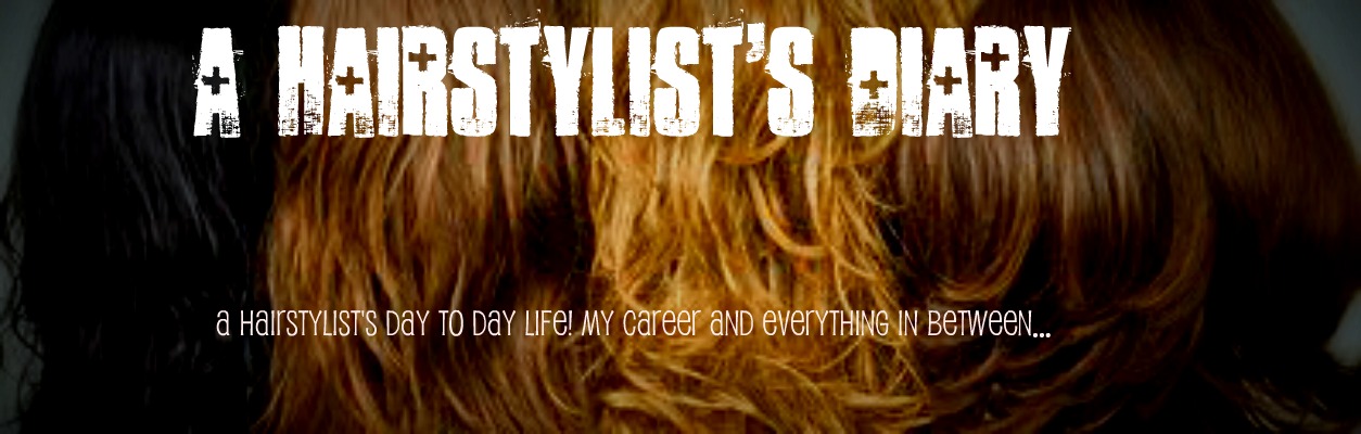 A Hairstylist's Diary