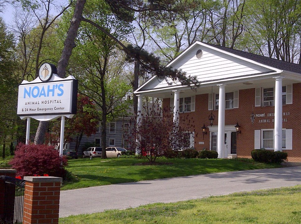 Noah S Animal Hospitals