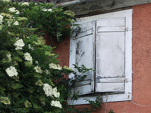 Rosenreslis Traum: Grüne Impressionen aus unserem Örtchen