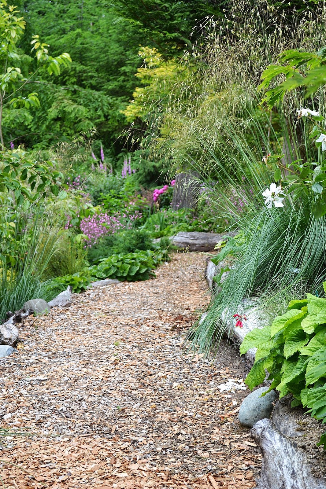 The Outlaw Gardener Vashon Island NPA Garden Tour part Five The