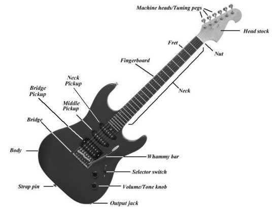 Guitar Tabs: Name of Guitar Strings bass strings notes diagram 