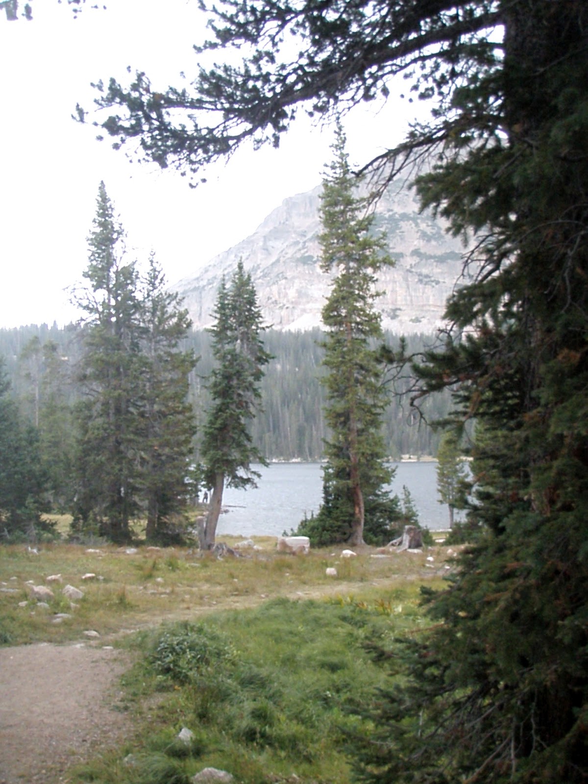 Cabin & Cottage At Mirror Lake