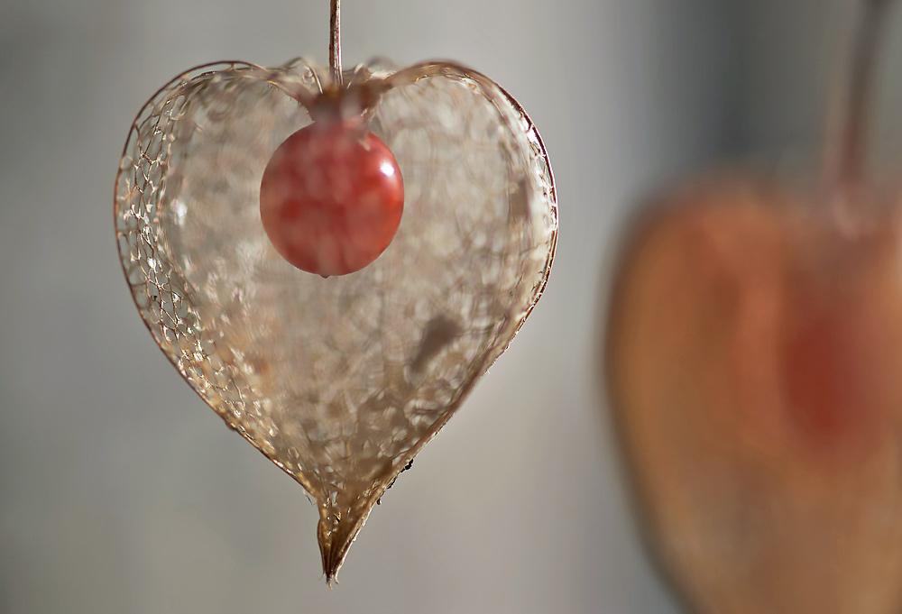 Amour en cage by Danny Tyran Amour en cage by Danny Tyran