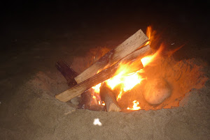 PLaya chica. El león