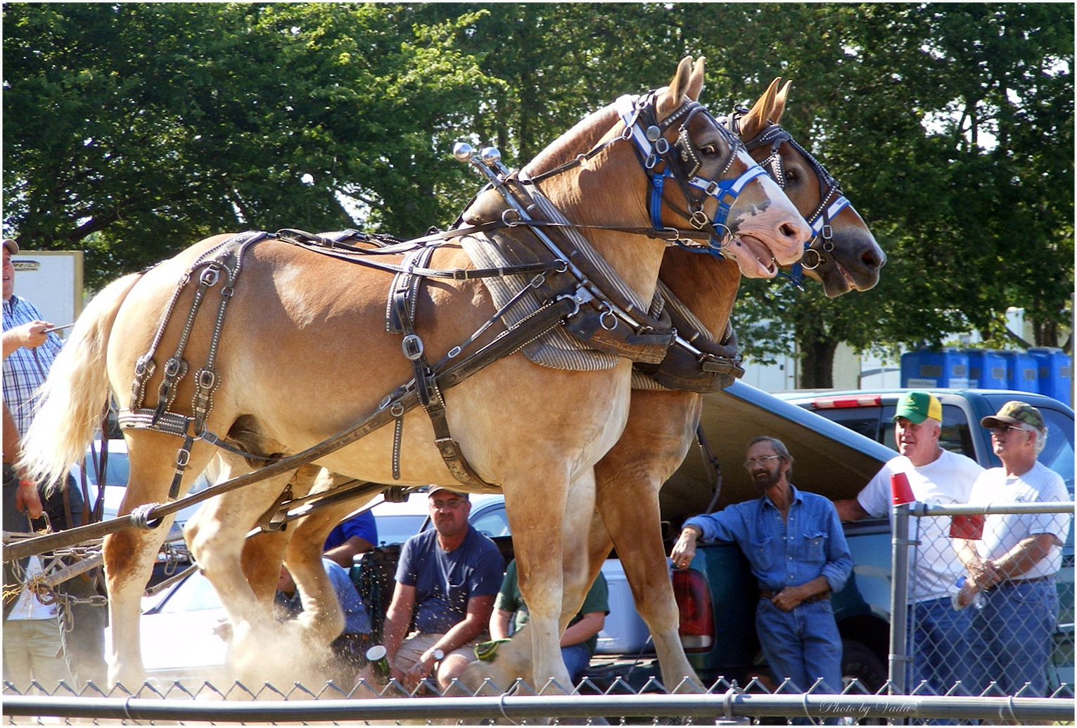 Volume Two Photos by Vada Horse Pull at Woodford County Fair.