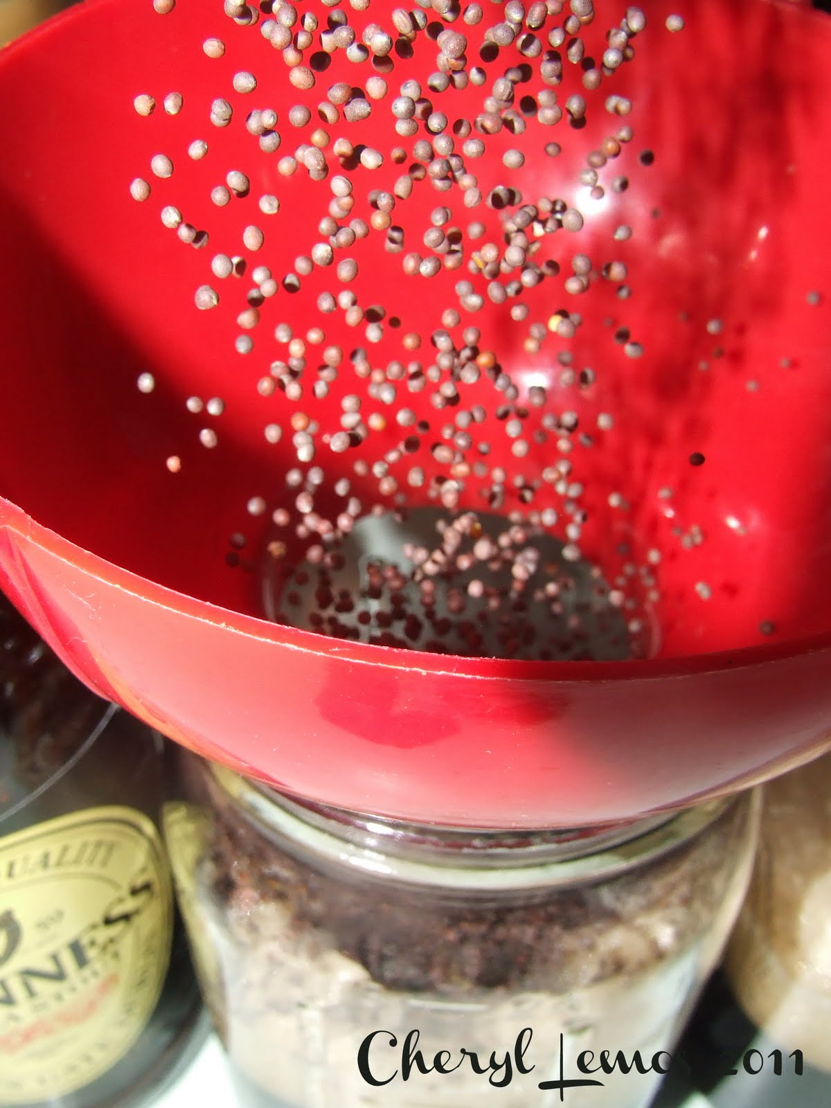 Bräuista Cooking with Beer Spicy Guinness Mustard