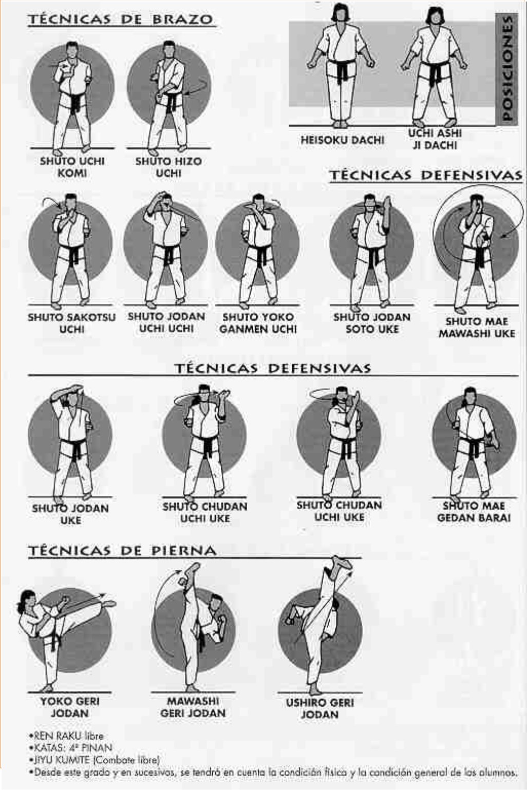 KARATE KYOKUSHIN BREDA KYUS