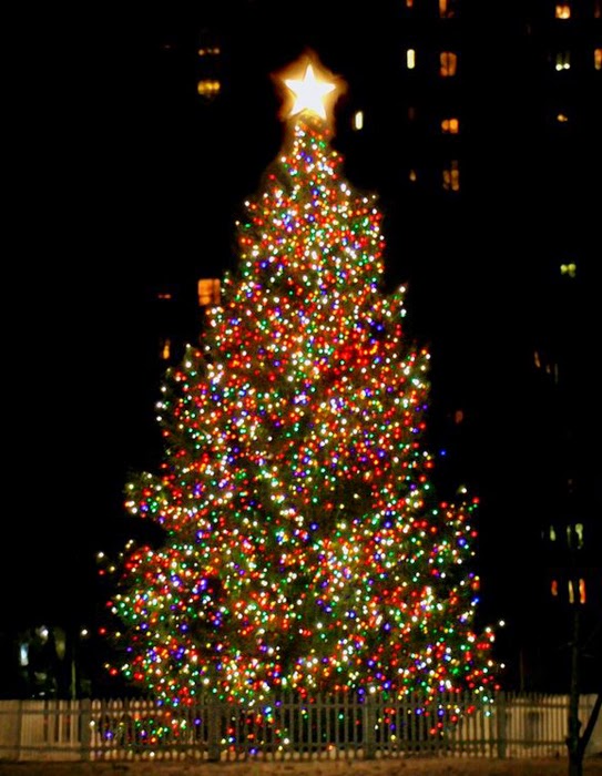 the stuyvesant town report the new christmas tree the stuyvesant town report the new christmas tree