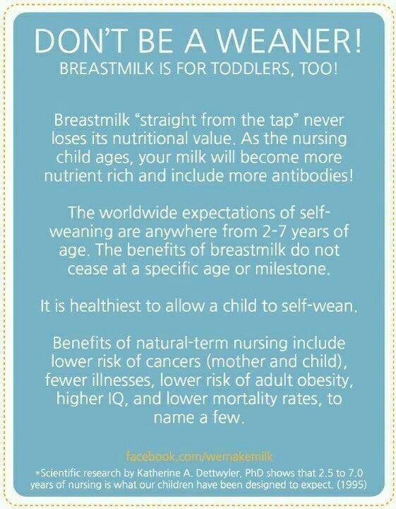 The Crunchy Mama Blog: Breastfeeding: Myths, Tips, & More Pt 3