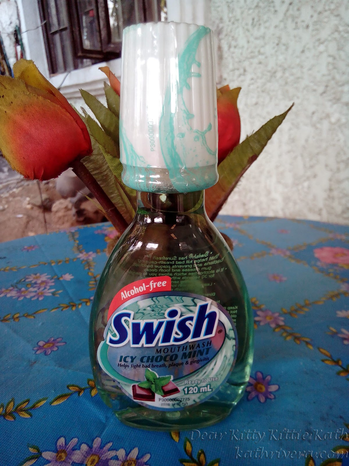 Product Review Swish Mouthwash Icy Choco Mint Dear Kitty Kittie Kath