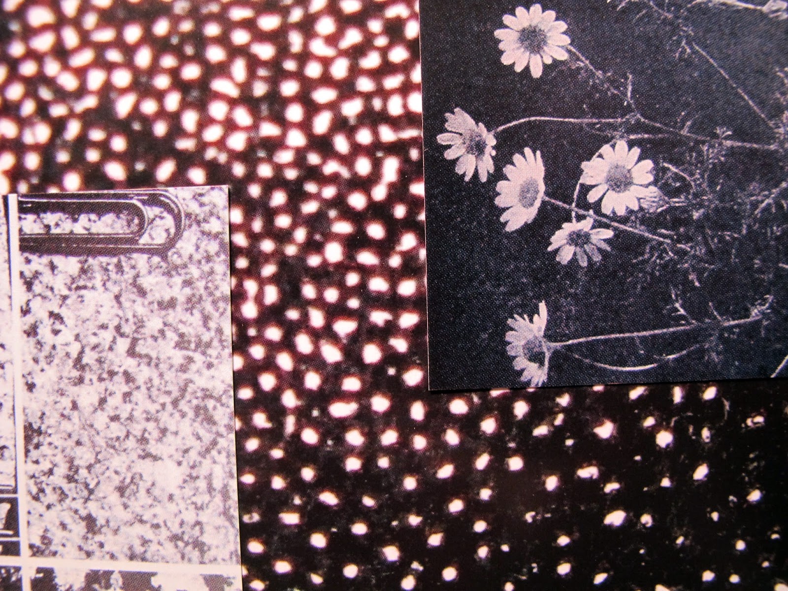 Personal Libraries Library 2015