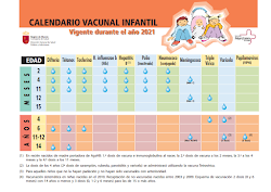 Calendario   Vacunal
