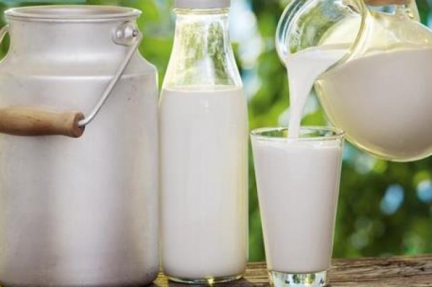 Susu Kambing Etagoat: Lebih baik mengkonsumsi susu segar